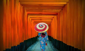 "Forest Bathing" ala Indonesia: 5 Tempat di Jawa buat Ngelakuin Terapi Hutan Tanpa Harus ke Jepang