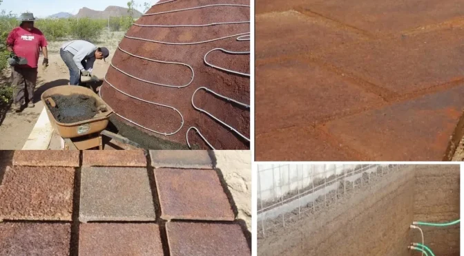 Bukan Semen atau Kayu, Kenapa Rumah Berbahan Mushroom Biomaterials Bakal Jadi Tren Properti Ramah Lingkungan Paling Viral?